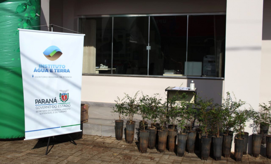 Mais de 800 kg de arroz e feijão foram arrecadados nesta quinta-feira (24), em troca de mudas de jabuticaba no sistema drive-thru no município de Pitanga, na região Central do Estado. A ação foi planejada pelo Escritório Regional do Instituto Água e Terra (IAT) e contou com apoio da prefeitura municipal.  -  Foto: IAT
