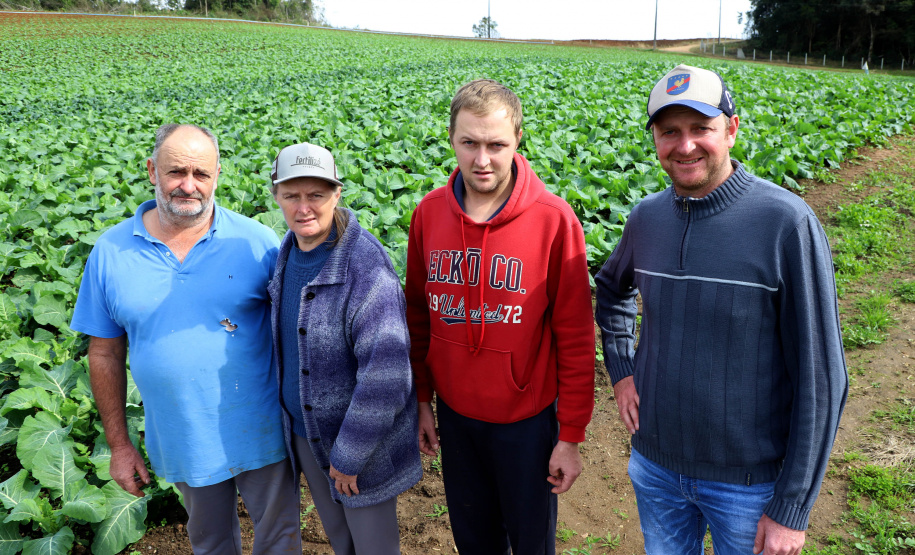 Hortaliças como brócolis e couve-flor mudam a paisagem de São José dos Pinhais - Pedro Burakowski e família -  Curitiba, 24/06/2021  -  Foto: Ari Dias/AEN