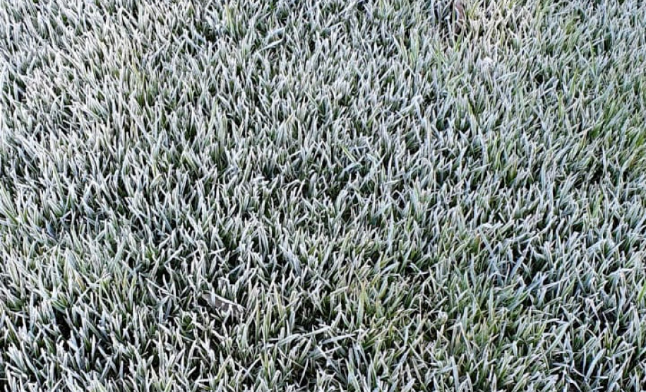 Toledo geada e frio intenso  -  Toledo, 29/06/2021  -  Foto: Carlos Vicelli