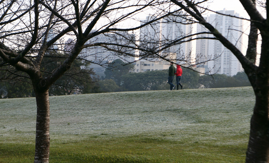 Imagens do inverno - Foto: Geraldo Bubniak