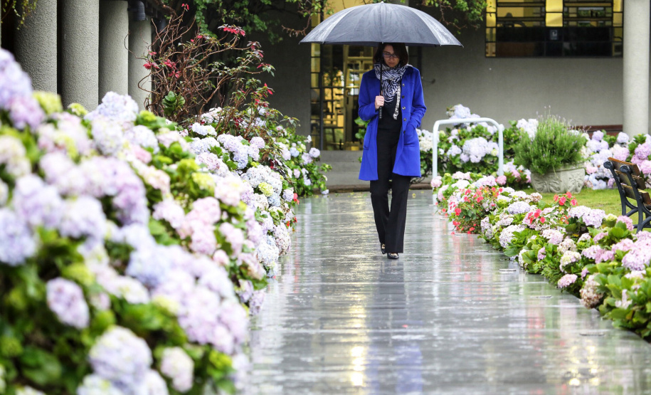 Frio - José Fernando Ogura