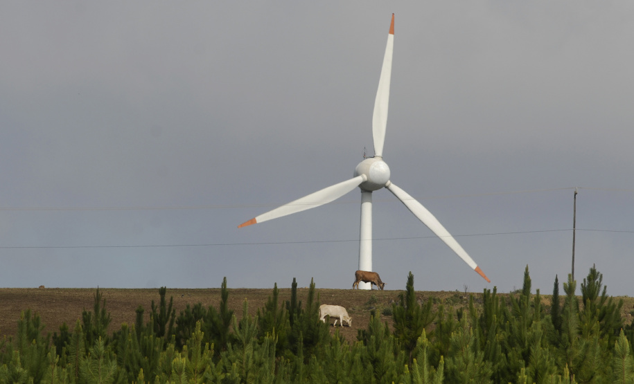 Estudo da OCDE mostra Paraná como exemplo mundial em desenvolvimento sustentável
Foto Jonas Oliveira/Arquivo AEN