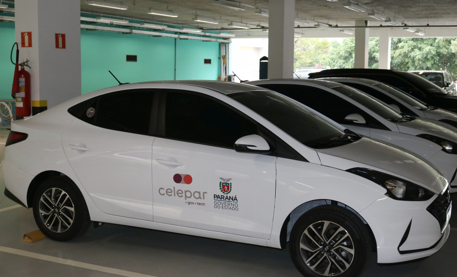 O Dia Mundial do Meio Ambiente foi comemorado 5 de junho, e a data busca chamar a atenção de todas as esferas da população para os desafios ambientais e para a importância da preservação dos recursos naturais -  Curitiba, 29/06/2021  -  Foto: Celepar