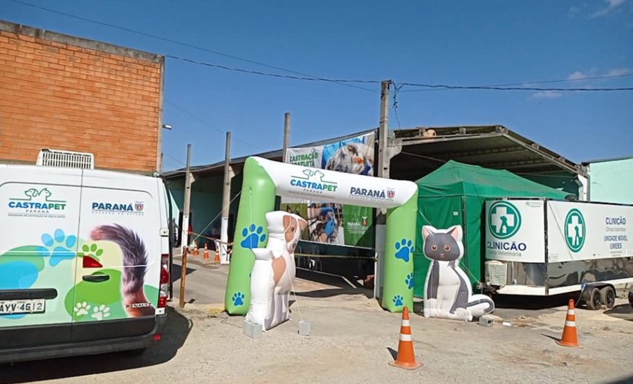 Desenvolvido e implantado pela Secretaria de Estado do Desenvolvimento Sustentável e do Turismo (SEDEST), por meio do Instituto Água e Terra (IAT), inicia nesta quarta-feira (30), em Umuarama, o segundo ciclo do Programa Permanente de Esterilização de Cães e Gatos do Estado do Paraná.  -  Curitiba, 29/06/2021  -  Foto: SEDEST