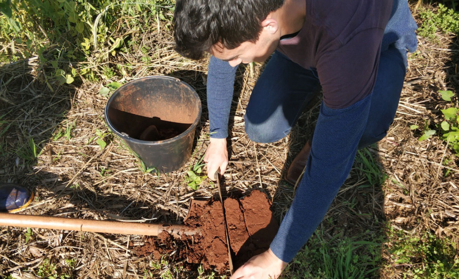 Pesquisa ajuda o Paraná a ser referência nacional no agronegócio
Foto: Professora Lutécia Beatriz dos Santos Canalli