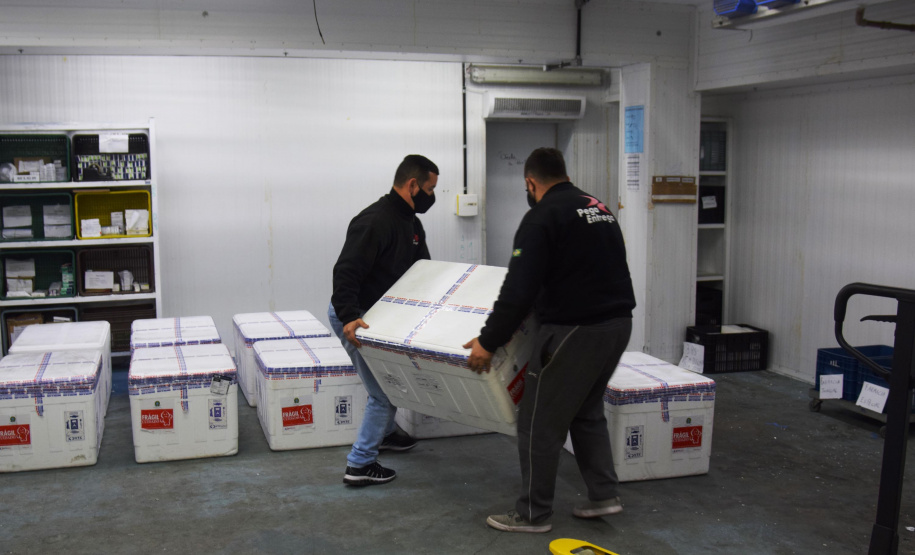 Chegada vacinas - Foto: Américo Antonio/SESA