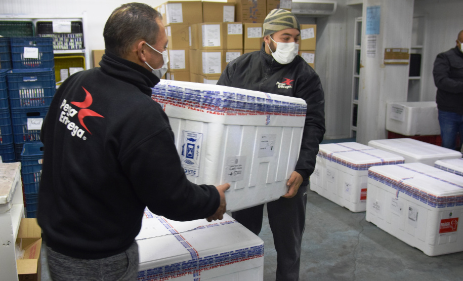 Chegada vacinas doses da AstraZeneca  Foto: Americo Antonio/SESA