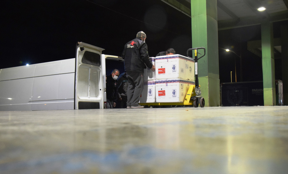 Chegada vacinas doses da AstraZeneca  Foto: Americo Antonio/SESA