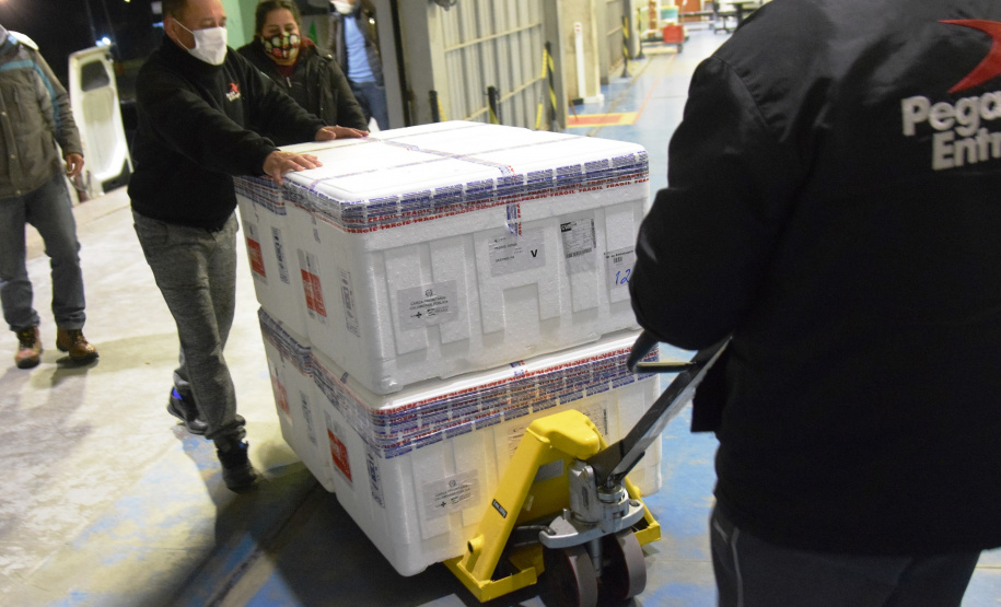 Chegada vacinas doses da AstraZeneca  Foto: Americo Antonio/SESA