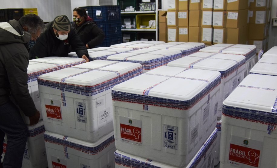 Chegada vacinas doses da AstraZeneca  Foto: Americo Antonio/SESA