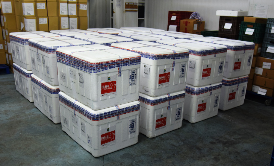 Chegada vacinas doses da AstraZeneca  Foto: Americo Antonio/SESA