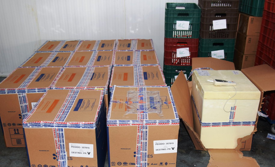 Chegada vacinas doses da Pfizer  Foto: Americo Antonio/SESA