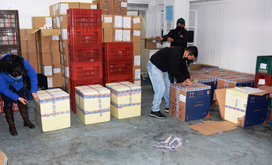 Chegada vacinas doses da Pfizer  Foto: Americo Antonio/SESA