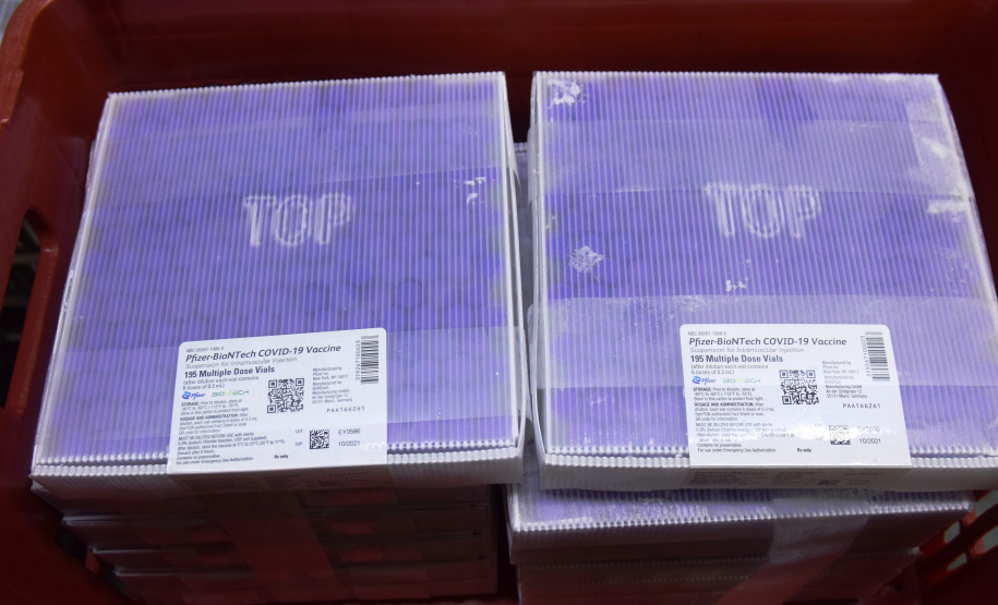 Chegada vacinas doses da Pfizer  Foto: Americo Antonio/SESA