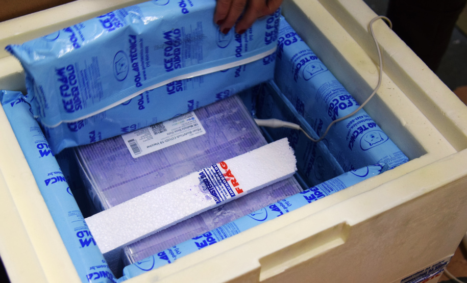 Chegada vacinas doses da Pfizer  Foto: Americo Antonio/SESA