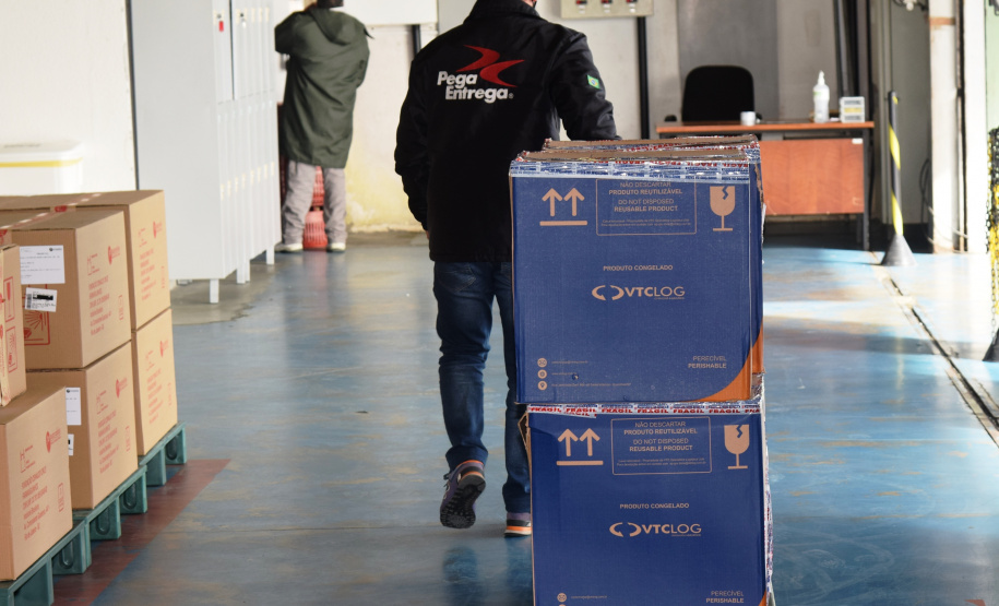 Chegada vacinas doses da Pfizer  Foto: Americo Antonio/SESA