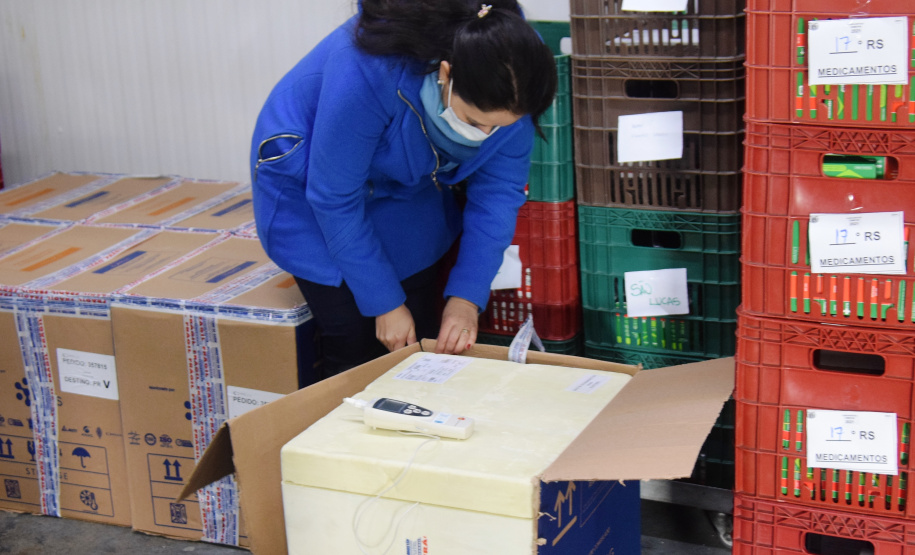 Chegada vacinas doses da Pfizer  Foto: Americo Antonio/SESA