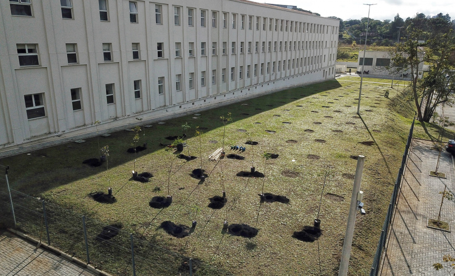 Projeto vai promover visitas guiadas a unidades de conservação do Paraná. O acordo de cooperação para execução do projeto foi assinado nesta quinta-feira (1) pelo governador Carlos Massa Ratinho Junior, o presidente do Tribunal de Justiça, desembargador José Laurindo de Souza Netto, e o prefeito de Curitiba, Rafael Greca. - Curitiba, 01/07/2021 - Foto: José Fernando Ogura/AEN