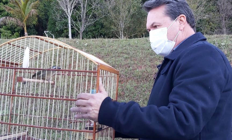 O Escritório Regional do Instituto Água e Terra (IAT) de Umuarama, no Noroeste do Estado, realizou a apreensão e a soltura de mais de 250 aves. O o secretário da pasta, Márcio Nunes, participou da soltura de 17 aves, entre Trinca Ferro, Coleirinha, Patativa, Canário Terra, Melrol, Sabiá, Irauna Grande, e Curió. - Umuarama, 29/06/2021 - Foto: SEDEST/IAT