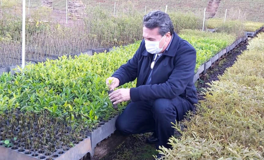 O Escritório Regional do Instituto Água e Terra (IAT) de Umuarama, no Noroeste do Estado, realizou a apreensão e a soltura de mais de 250 aves. O o secretário da pasta, Márcio Nunes, participou da soltura de 17 aves, entre Trinca Ferro, Coleirinha, Patativa, Canário Terra, Melrol, Sabiá, Irauna Grande, e Curió. - Umuarama, 29/06/2021 - Foto: SEDEST/IAT