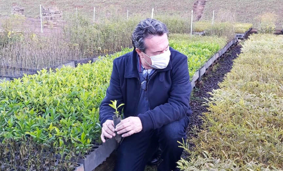 O Escritório Regional do Instituto Água e Terra (IAT) de Umuarama, no Noroeste do Estado, realizou a apreensão e a soltura de mais de 250 aves. O o secretário da pasta, Márcio Nunes, participou da soltura de 17 aves, entre Trinca Ferro, Coleirinha, Patativa, Canário Terra, Melrol, Sabiá, Irauna Grande, e Curió. - Umuarama, 29/06/2021 - Foto: SEDEST/IAT