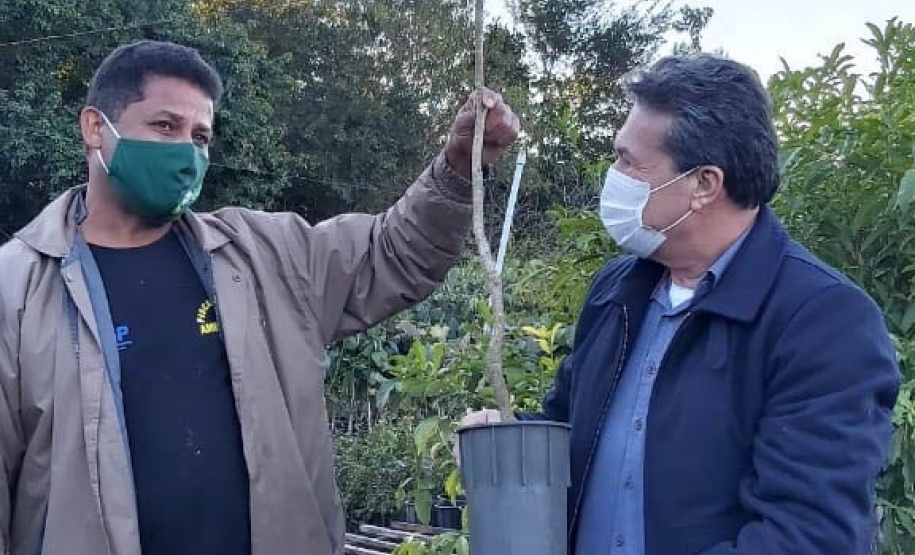 O Escritório Regional do Instituto Água e Terra (IAT) de Umuarama, no Noroeste do Estado, realizou a apreensão e a soltura de mais de 250 aves. O o secretário da pasta, Márcio Nunes, participou da soltura de 17 aves, entre Trinca Ferro, Coleirinha, Patativa, Canário Terra, Melrol, Sabiá, Irauna Grande, e Curió. - Umuarama, 29/06/2021 - Foto: SEDEST/IAT