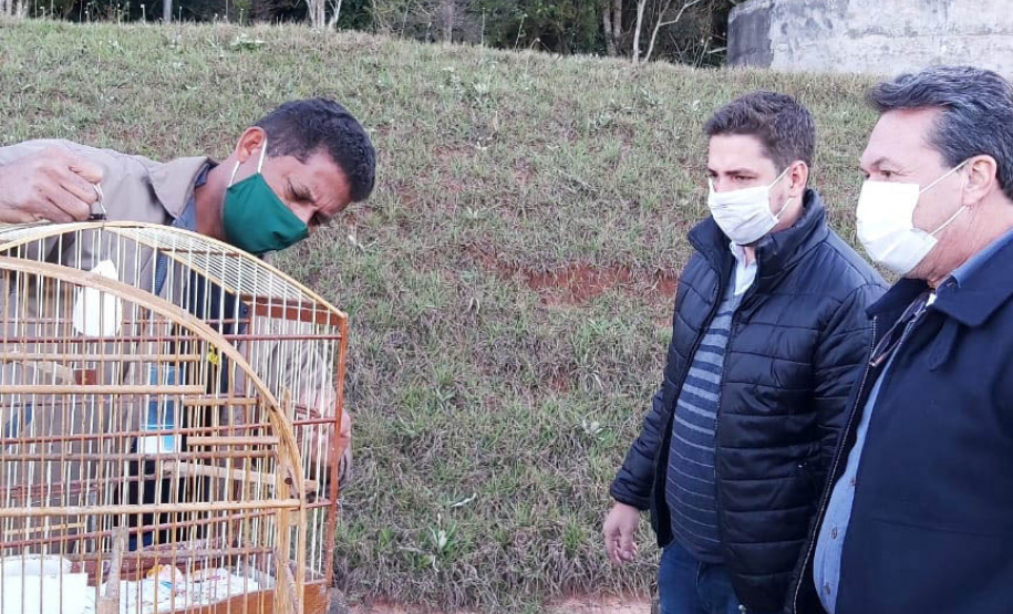 O Escritório Regional do Instituto Água e Terra (IAT) de Umuarama, no Noroeste do Estado, realizou a apreensão e a soltura de mais de 250 aves. O o secretário da pasta, Márcio Nunes, participou da soltura de 17 aves, entre Trinca Ferro, Coleirinha, Patativa, Canário Terra, Melrol, Sabiá, Irauna Grande, e Curió. - Umuarama, 29/06/2021 - Foto: SEDEST/IAT