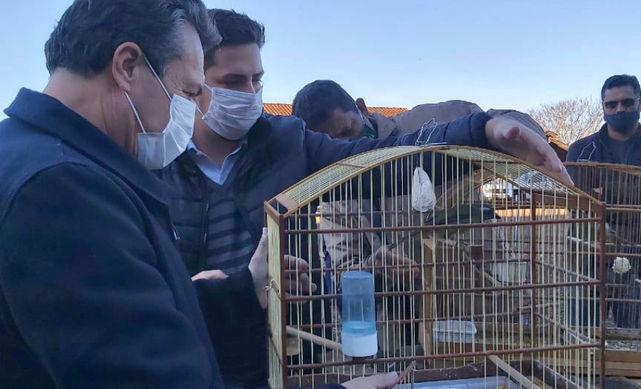 O Escritório Regional do Instituto Água e Terra (IAT) de Umuarama, no Noroeste do Estado, realizou a apreensão e a soltura de mais de 250 aves. O o secretário da pasta, Márcio Nunes, participou da soltura de 17 aves, entre Trinca Ferro, Coleirinha, Patativa, Canário Terra, Melrol, Sabiá, Irauna Grande, e Curió. - Umuarama, 29/06/2021 - Foto: SEDEST/IAT