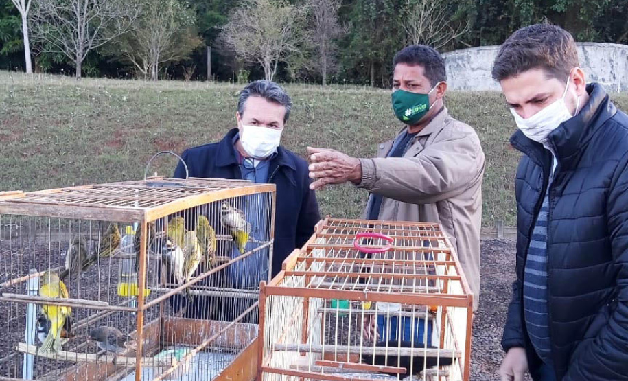 O Escritório Regional do Instituto Água e Terra (IAT) de Umuarama, no Noroeste do Estado, realizou a apreensão e a soltura de mais de 250 aves. O o secretário da pasta, Márcio Nunes, participou da soltura de 17 aves, entre Trinca Ferro, Coleirinha, Patativa, Canário Terra, Melrol, Sabiá, Irauna Grande, e Curió. - Umuarama, 29/06/2021 - Foto: SEDEST/IAT