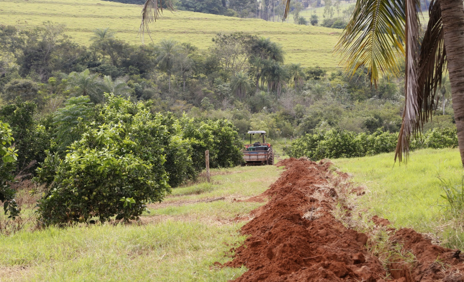 Produtores de limão em Altônia - Foto: Gilson Abreu/AEN