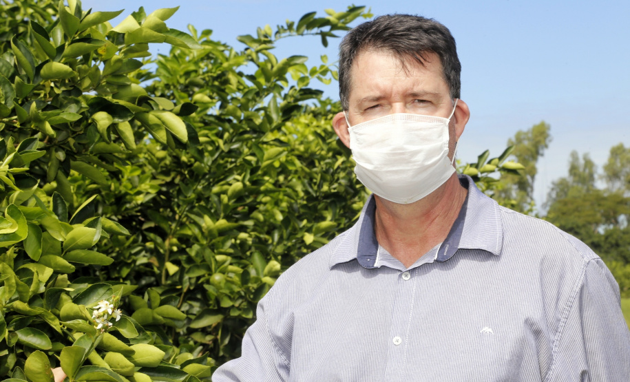 Produtores de limão e, Altônia. Na foto, o técnico em agropecuária da Secretaria Municipal do Meio Ambiente, Agricultura e Turismo, Paulo Cezar Lavaqui. - Foto: Gilson Abreu/AEN