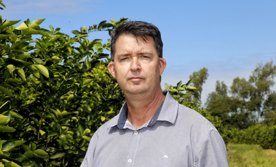 Produtores de limão e, Altônia. Na foto, o técnico em agropecuária da Secretaria Municipal do Meio Ambiente, Agricultura e Turismo, Paulo Cezar Lavaqui. - Foto: Gilson Abreu/AEN