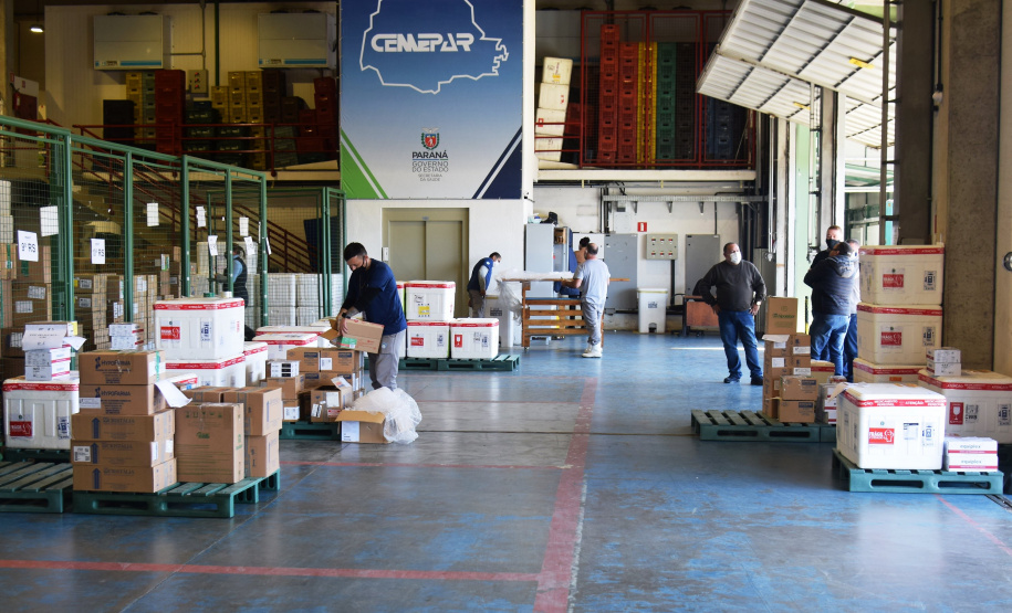 Entrega VacinasFoto: Americo Antonio/SESA