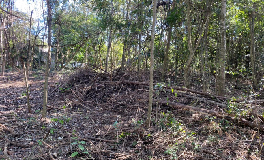 CIANORTE - O projeto Parques Urbanos do Paraná é o maior do Brasil, afirmou o secretário estadual do Desenvolvimento Sustentável e do Turismo, Márcio Nunes. Ele esteve nesta semana na região Noroeste para acompanhar as obras de quatro Parques Urbanos. São áreas de fundo de vale que serão recuperadas e reaproveitadas como espaços de lazer e turismo aos moradores, aliado à preservação ambiental. - 02/07/2021 - Foto: Divulgação SEDEST