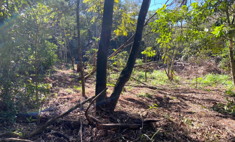 CIANORTE - O projeto Parques Urbanos do Paraná é o maior do Brasil, afirmou o secretário estadual do Desenvolvimento Sustentável e do Turismo, Márcio Nunes. Ele esteve nesta semana na região Noroeste para acompanhar as obras de quatro Parques Urbanos. São áreas de fundo de vale que serão recuperadas e reaproveitadas como espaços de lazer e turismo aos moradores, aliado à preservação ambiental. - 02/07/2021 - Foto: Divulgação SEDEST