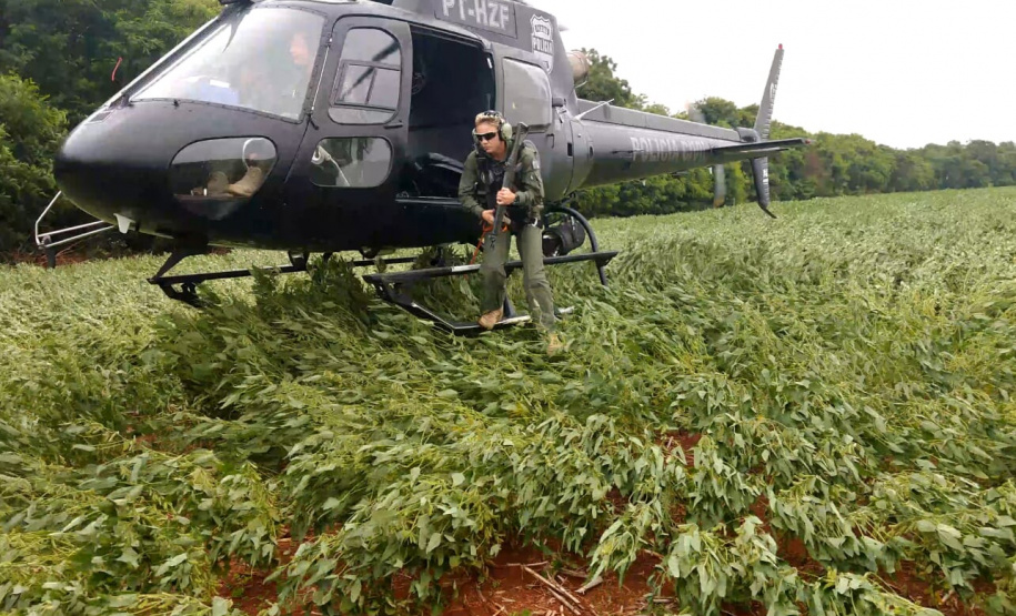 A Polícia Civil do Paraná (PCPR) comemora neste domingo (4) cinco anos de criação do seu Grupamento de Operações Aéreas (GOA). Atualmente são cinco aeronaves, sendo quatro helicópteros e um avião. - Foto: Polícia Civil do Paraná