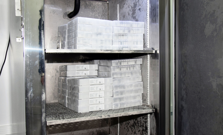 PFIZER - Chegada de vacinas Pfizer/BioNTech, que chegaram ao Estado na noite desta sexta-feira (2),  -  Curitiba, 02/07/2021  -  Foto: Américo Antonio/SESA