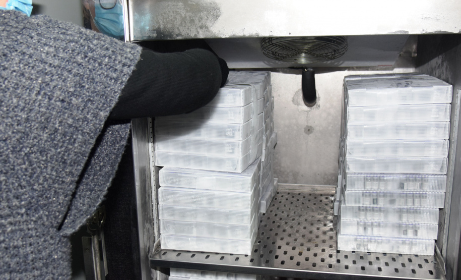 PFIZER - Chegada de vacinas Pfizer/BioNTech, que chegaram ao Estado na noite desta sexta-feira (2),  -  Curitiba, 02/07/2021  -  Foto: Américo Antonio/SESA