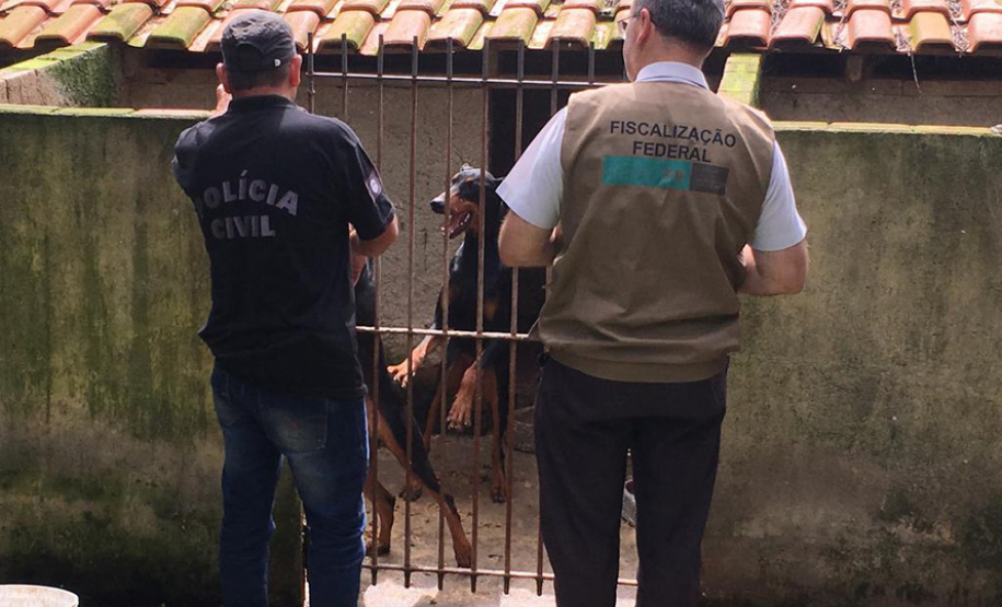 Dados do Disque Denúncia 181, ferramenta da Secretaria de Segurança Pública do Paraná, apontam aumento de 111,6% nas denúncias de maus-tratos a animais domésticos no Estado nos primeiros cinco meses de 2021, se comparado ao mesmo período de 2020. - Curitiba, 05/07/2021 - Foto: Polícia Civil do Paraná