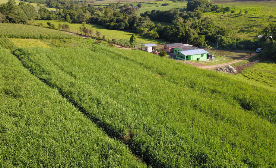 Capanema - Produção de açucar mascavo. Foto: José Fernando Ogura/ANPr