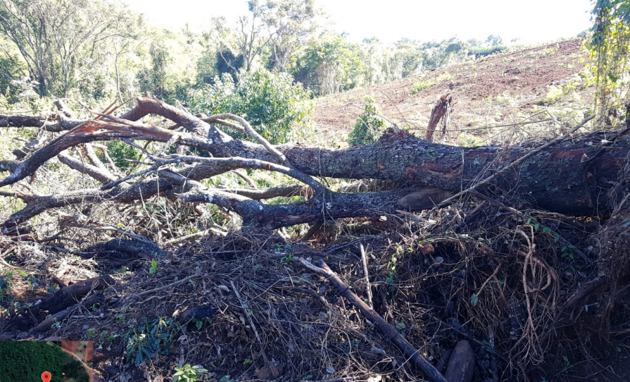 Fiscais do Instituto Água e Terra (IAT) identificaram mais de 100 hectares (ha) de desmatamento na região Centro-Sul do Estado, na última semana. O IAT é um órgão vinculado à Secretaria do Desenvolvimento Sustentável e do Turismo (Sedest). - Curitiba, 05/07/2021 - Foto: SEDEST/IAT