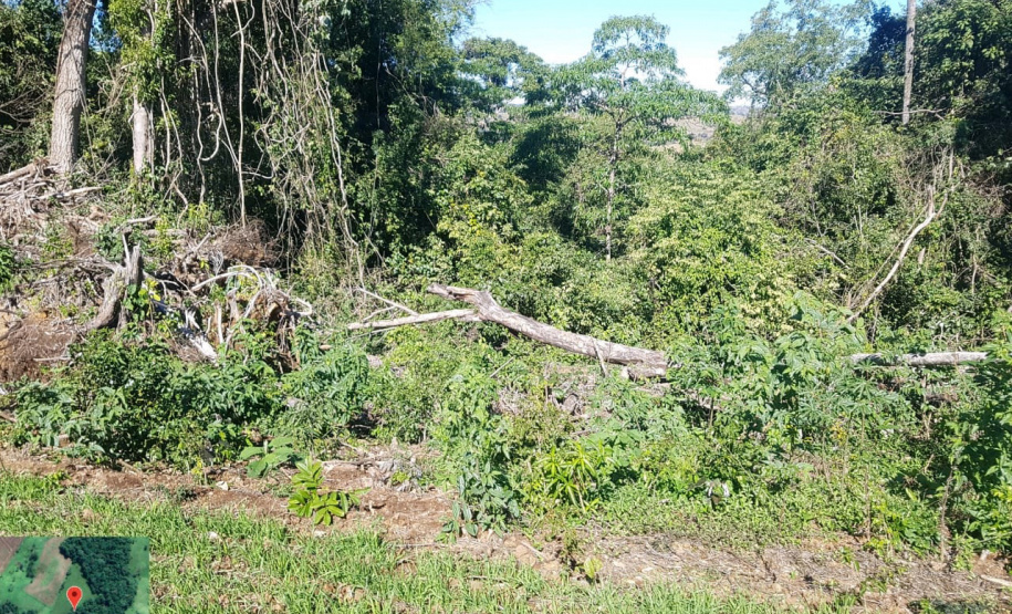 Fiscais do Instituto Água e Terra (IAT) identificaram mais de 100 hectares (ha) de desmatamento na região Centro-Sul do Estado, na última semana. O IAT é um órgão vinculado à Secretaria do Desenvolvimento Sustentável e do Turismo (Sedest). - Curitiba, 05/07/2021 - Foto: SEDEST/IAT