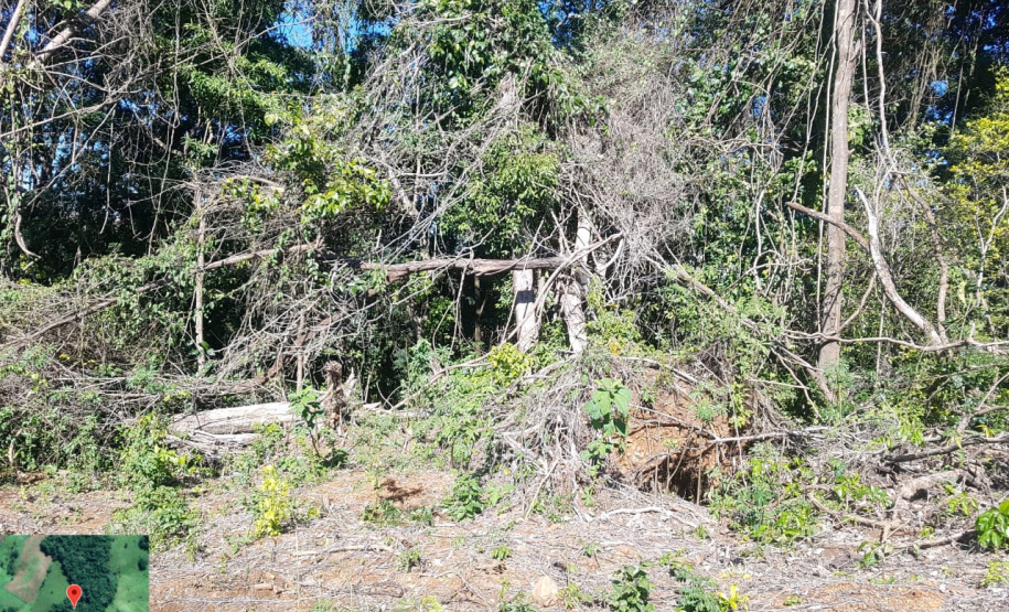 Fiscais do Instituto Água e Terra (IAT) identificaram mais de 100 hectares (ha) de desmatamento na região Centro-Sul do Estado, na última semana. O IAT é um órgão vinculado à Secretaria do Desenvolvimento Sustentável e do Turismo (Sedest). - Curitiba, 05/07/2021 - Foto: SEDEST/IAT