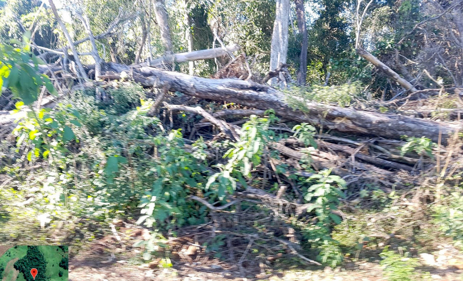 Fiscais do Instituto Água e Terra (IAT) identificaram mais de 100 hectares (ha) de desmatamento na região Centro-Sul do Estado, na última semana. O IAT é um órgão vinculado à Secretaria do Desenvolvimento Sustentável e do Turismo (Sedest). - Curitiba, 05/07/2021 - Foto: SEDEST/IAT