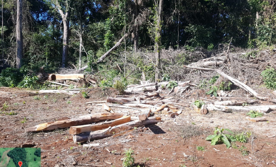 Fiscais do Instituto Água e Terra (IAT) identificaram mais de 100 hectares (ha) de desmatamento na região Centro-Sul do Estado, na última semana. O IAT é um órgão vinculado à Secretaria do Desenvolvimento Sustentável e do Turismo (Sedest). - Curitiba, 05/07/2021 - Foto: SEDEST/IAT