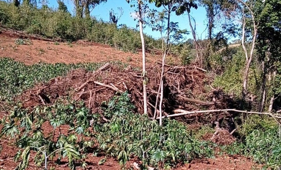 Fiscais do Instituto Água e Terra (IAT) identificaram mais de 100 hectares (ha) de desmatamento na região Centro-Sul do Estado, na última semana. O IAT é um órgão vinculado à Secretaria do Desenvolvimento Sustentável e do Turismo (Sedest). - Curitiba, 05/07/2021 - Foto: SEDEST/IAT
