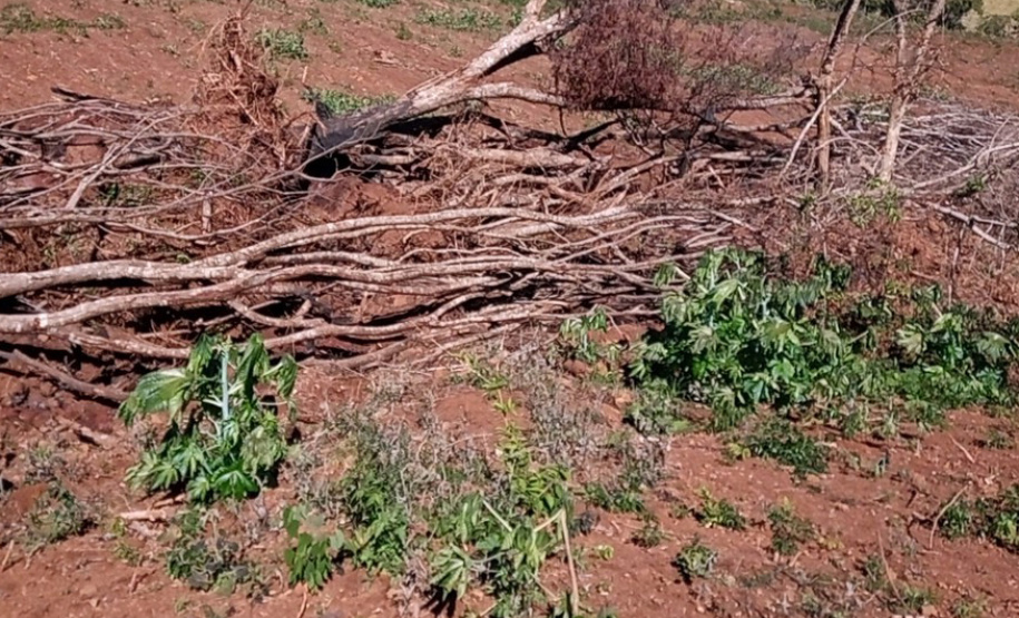 Fiscais do Instituto Água e Terra (IAT) identificaram mais de 100 hectares (ha) de desmatamento na região Centro-Sul do Estado, na última semana. O IAT é um órgão vinculado à Secretaria do Desenvolvimento Sustentável e do Turismo (Sedest). - Curitiba, 05/07/2021 - Foto: SEDEST/IAT
