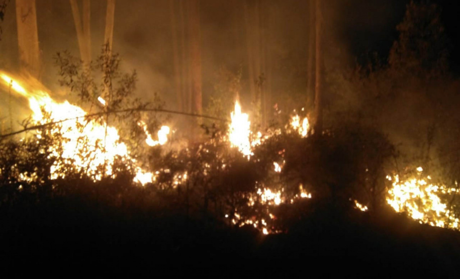 Nos primeiros quatro meses de 2021, o Corpo de Bombeiros do Paraná registrou 2.760 casos de incêndios em vegetação nativa ou plantação, 1.181 a menos que no primeiro quadrimestre de 2020, representando uma queda de 30%. - Curitiba, 05/07/2021 - Foto: SESP-PR