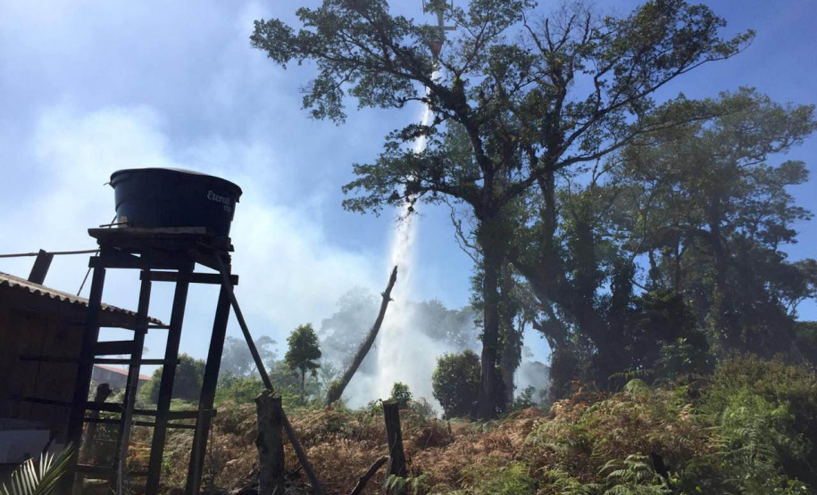 Nos primeiros quatro meses de 2021, o Corpo de Bombeiros do Paraná registrou 2.760 casos de incêndios em vegetação nativa ou plantação, 1.181 a menos que no primeiro quadrimestre de 2020, representando uma queda de 30%. - Curitiba, 05/07/2021 - Foto: SESP-PR