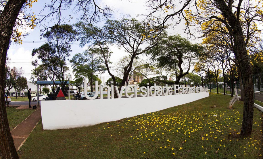 Comitê Covid-19 analisa Comitê de enfrentamento à Covid-19 da UEM
Foto: UEM